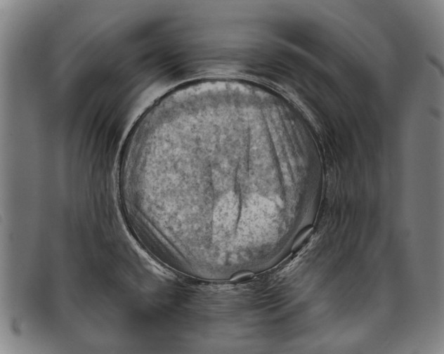 X0000097831432200804041411