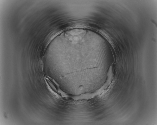 X0000097831433200804041411