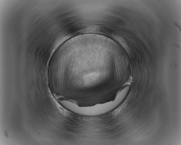 X0000097831434200804041411