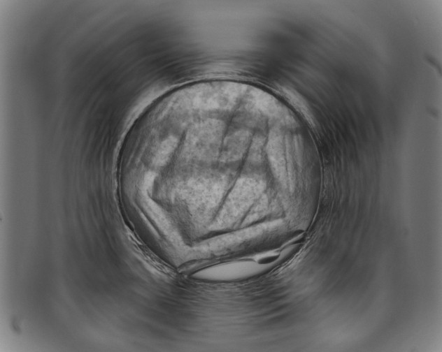 X0000097831435200804041411