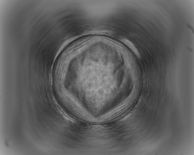 X0000097831436200804041411