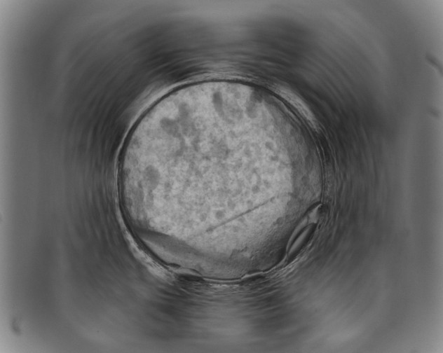 X0000097831439200804041412