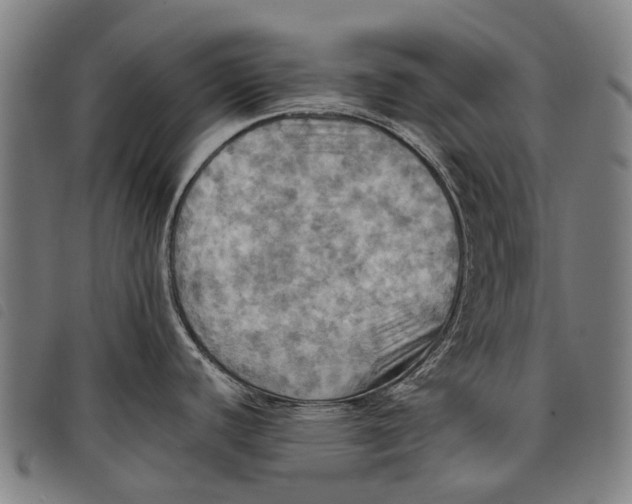 X0000097831440200804041412