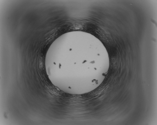 X0000097831442200804041411