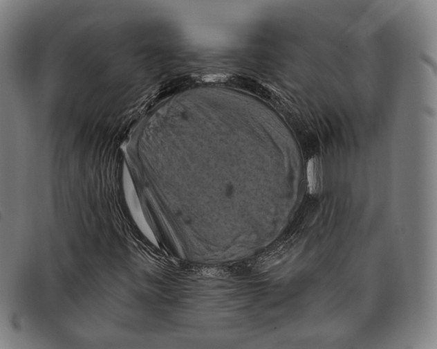 X0000097831443200804041411