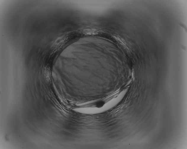 X0000097831444200804041411