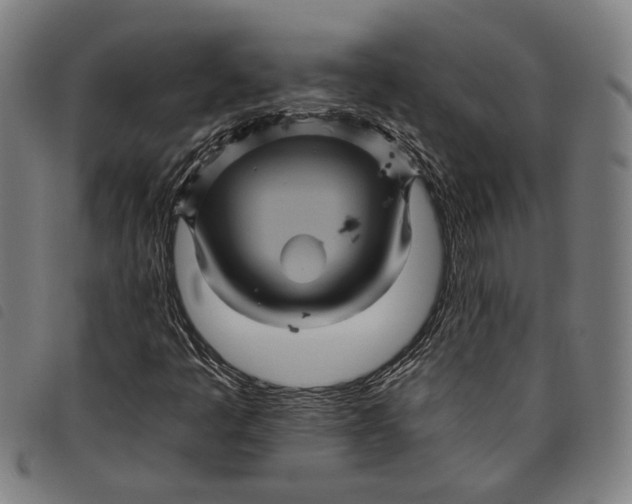 X0000097831445200804041411