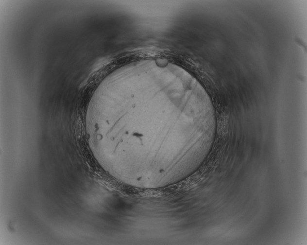 X0000097831446200804041411