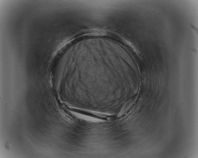 X0000097831448200804041411