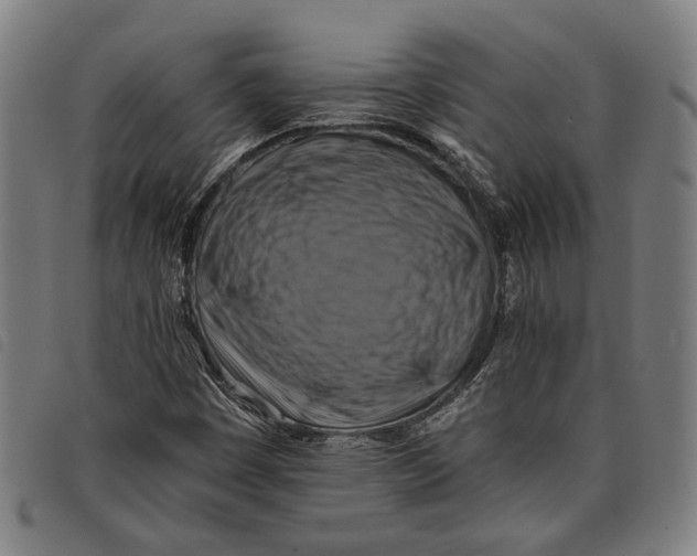 X0000097831449200804041411