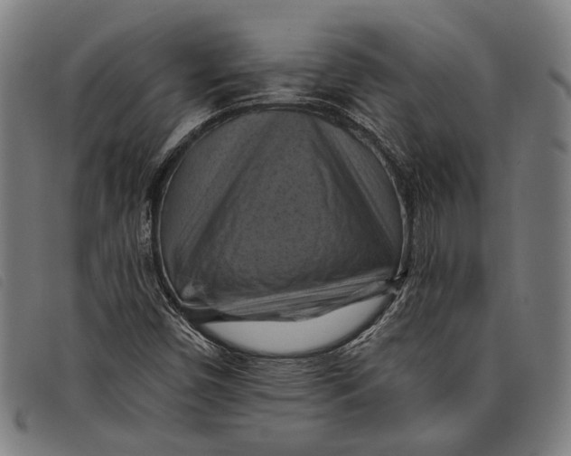 X0000097831450200804041411