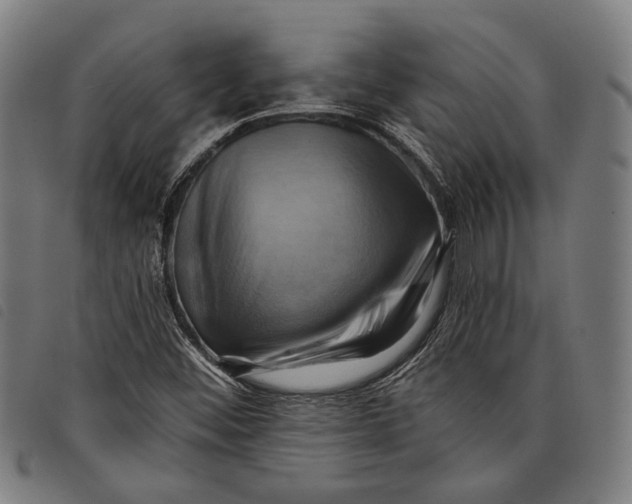 X0000097831452200804041411