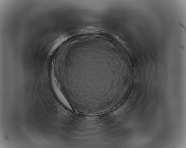 X0000097831453200804041411