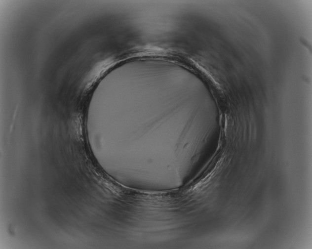 X0000097831455200804041411