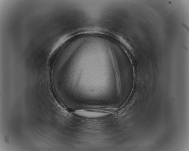 X0000097831456200804041411