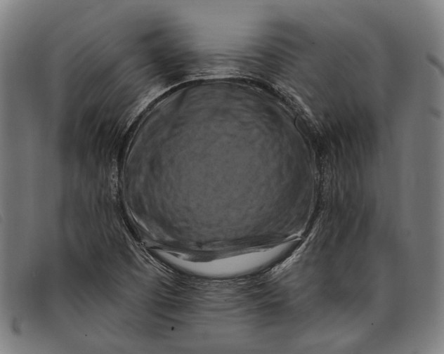 X0000097831457200804041411