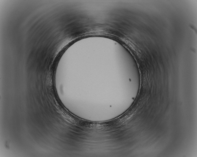 X0000097831458200804041410