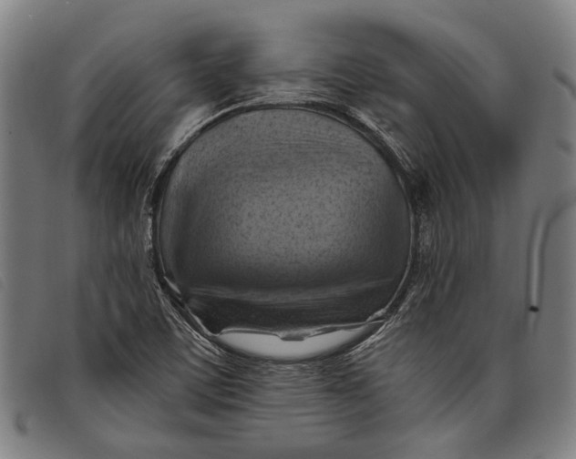 X0000097831459200804041410