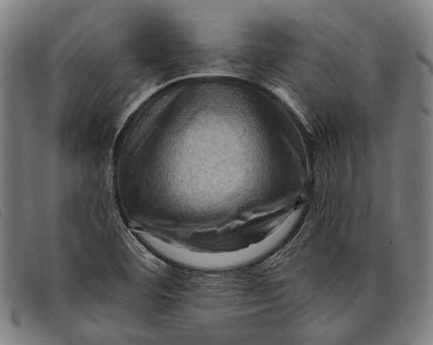 X0000097831460200804041410