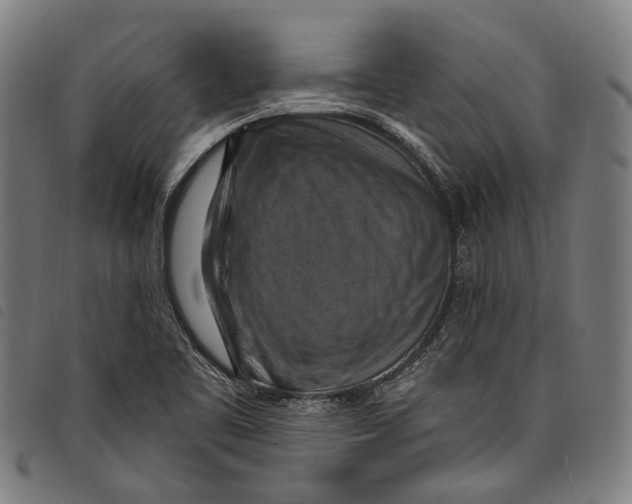 X0000097831461200804041410