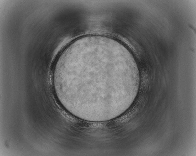 X0000097831462200804041410