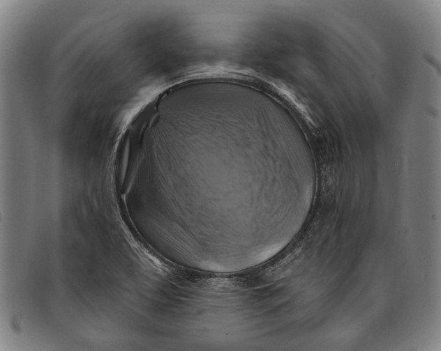 X0000097831463200804041410