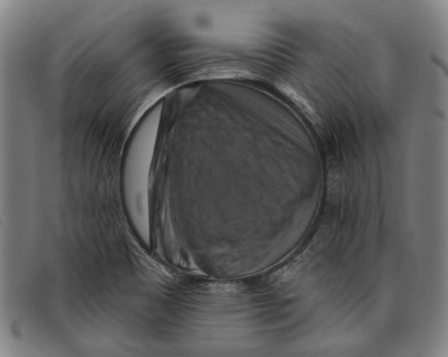 X0000097831465200804041410