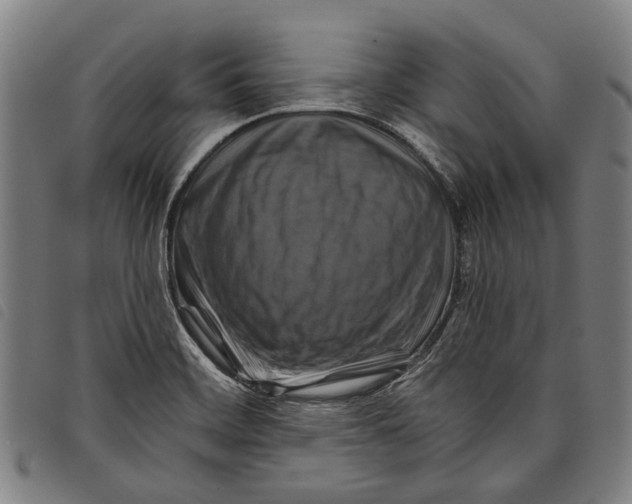 X0000097831468200804041410