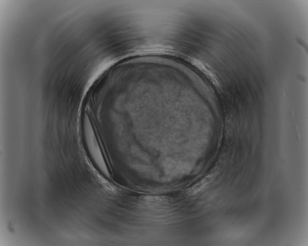 X0000097831469200804041410