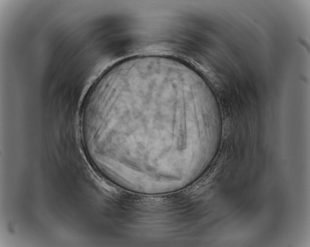 X0000097831470200804041410