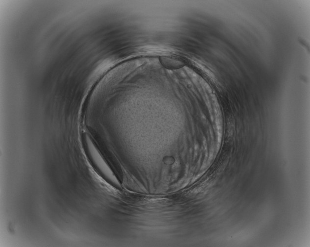 X0000097831471200804041410