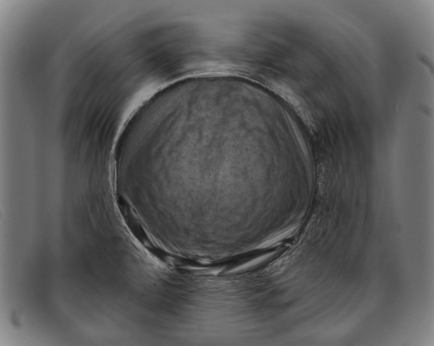 X0000097831472200804041410