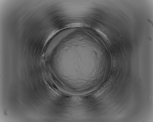 X0000097831473200804041410