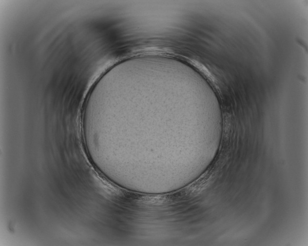 X0000097831474200804041410