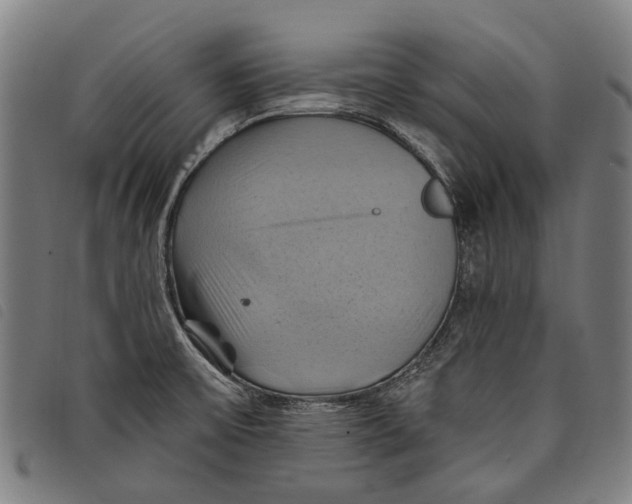 X0000097831475200804041410