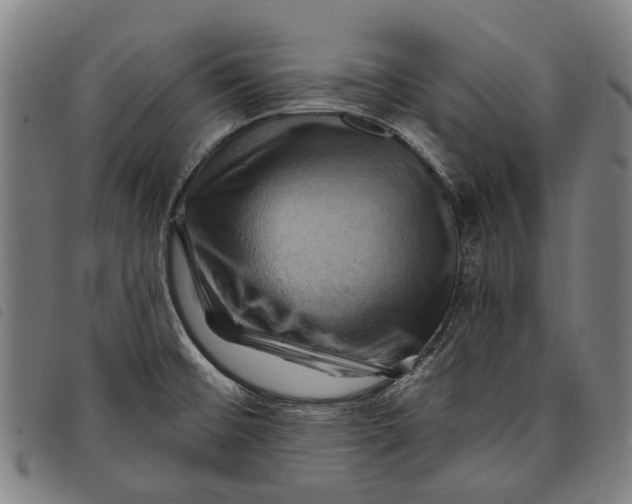 X0000097831476200804041410