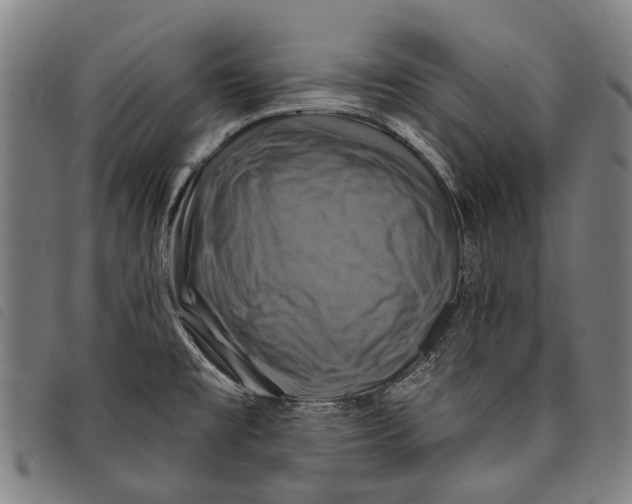 X0000097831477200804041410