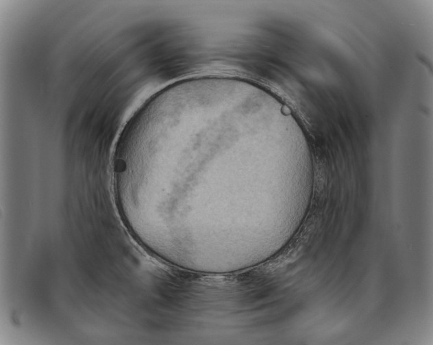 X0000097831478200804041410