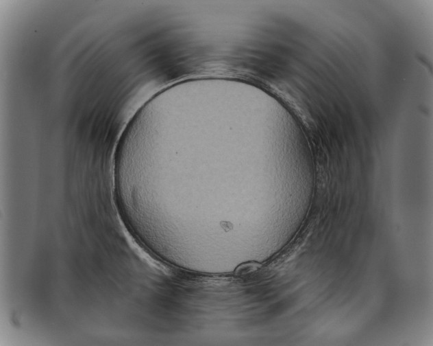 X0000097831479200804041410