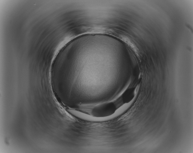 X0000097831480200804041410