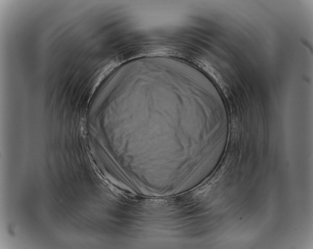 X0000097831481200804041410