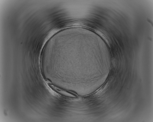 X0000097831482200804041410