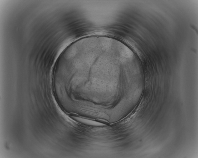 X0000097831483200804041410