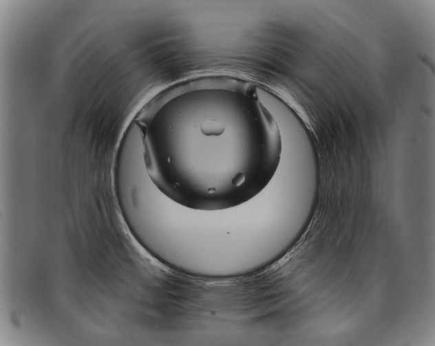 X0000097831484200804041410