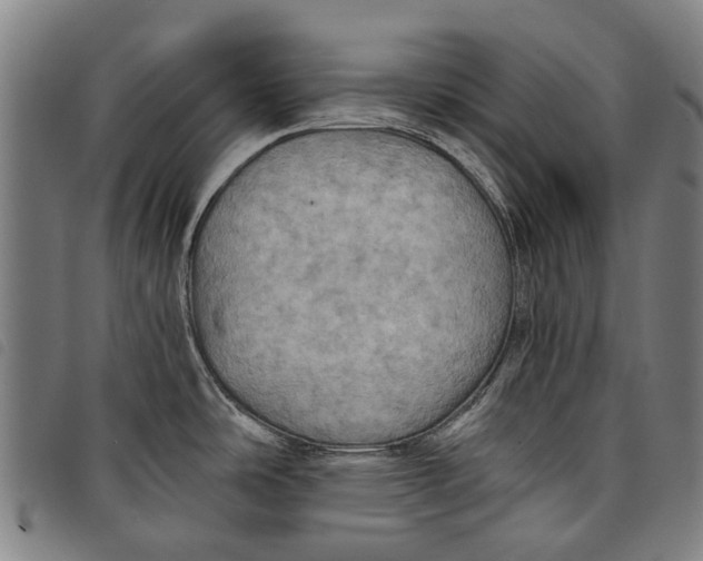 X0000097831486200804041410