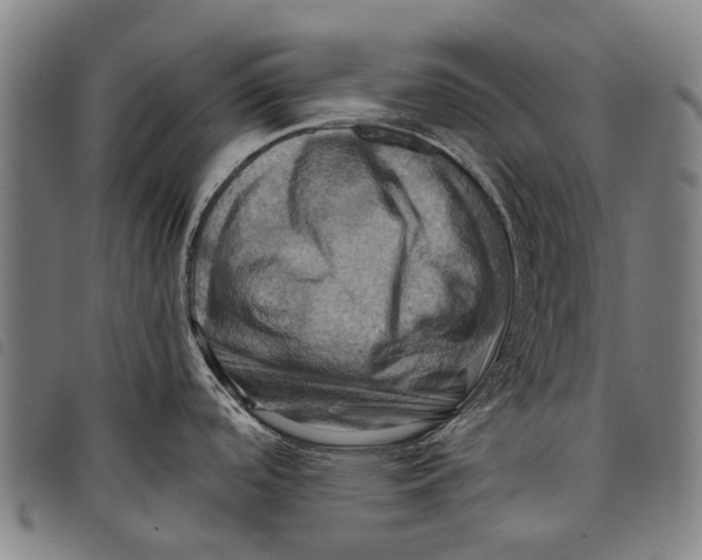 X0000097831488200804041410