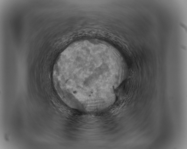 X0000097831489200804041409