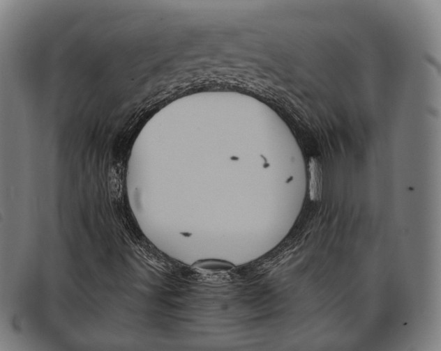 X0000097831491200804041409