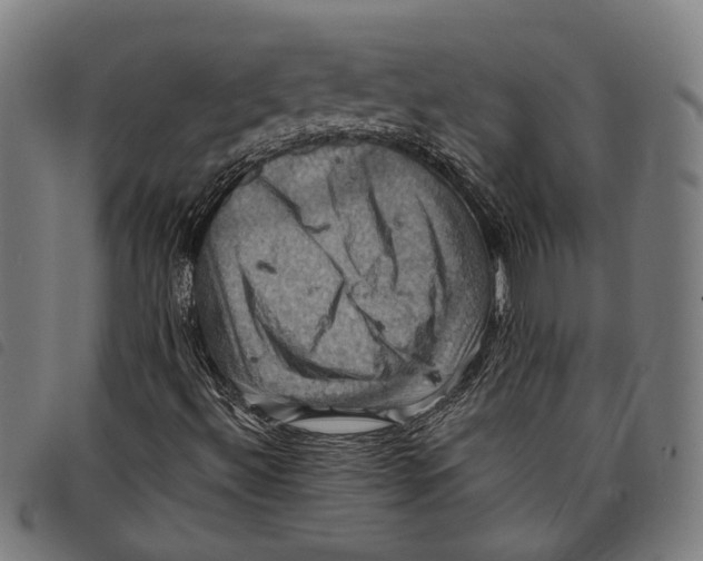 X0000097831492200804041409