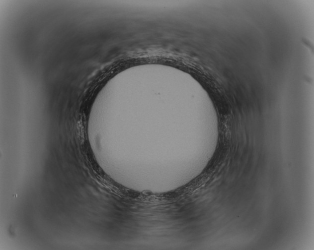 X0000097831493200804041409